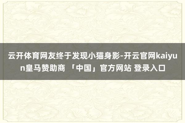 云开体育网友终于发现小猫身影-开云官网kaiyun皇马赞助商 「中国」官方网站 登录入口