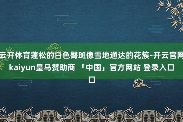 云开体育蓬松的白色臀斑像雪地通达的花簇-开云官网kaiyun皇马赞助商 「中国」官方网站 登录入口